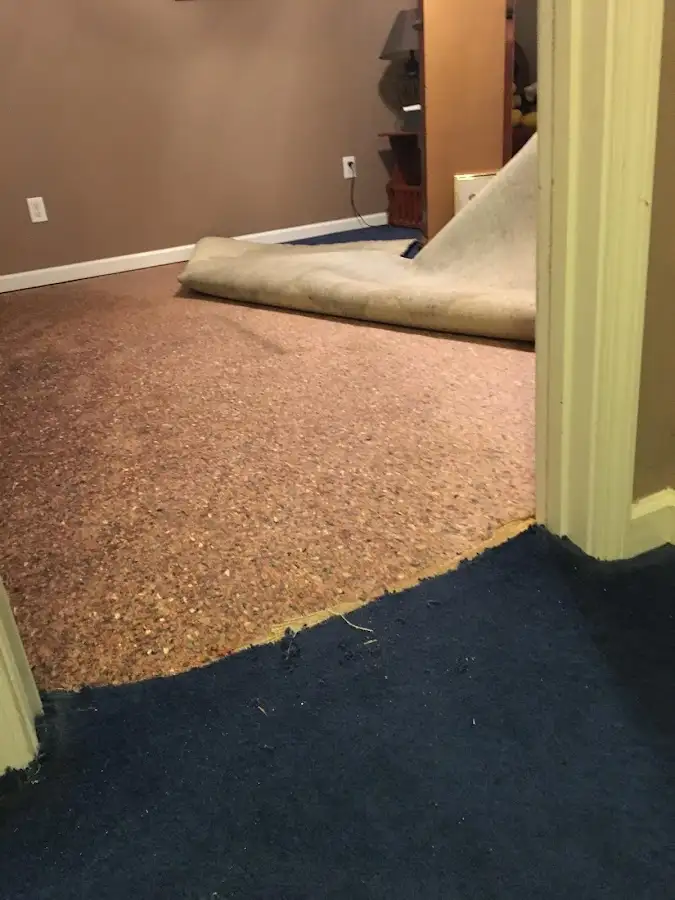 Carpet pad removal revealing water damage during Drying & Dehumidification in Danville